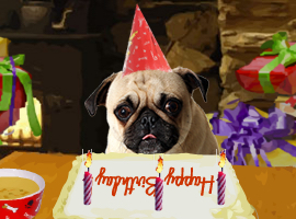 Dog, Cat, Pet Cards - Sloppy Kiss Cards: Birthday, Thank You, Holidays & More